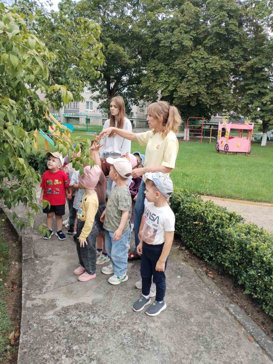 День молодого специалиста