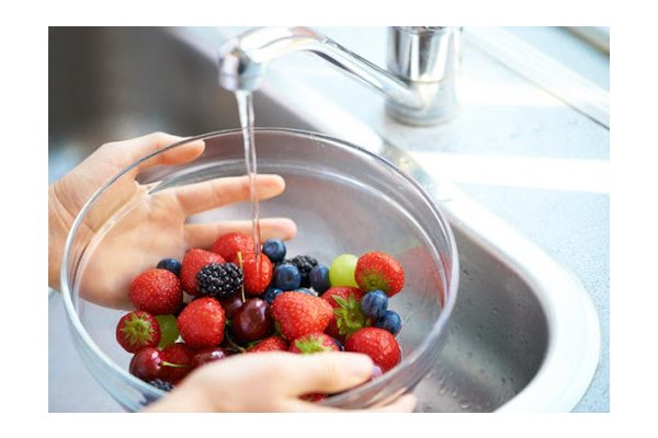 Основные правила обработки растительных продуктов