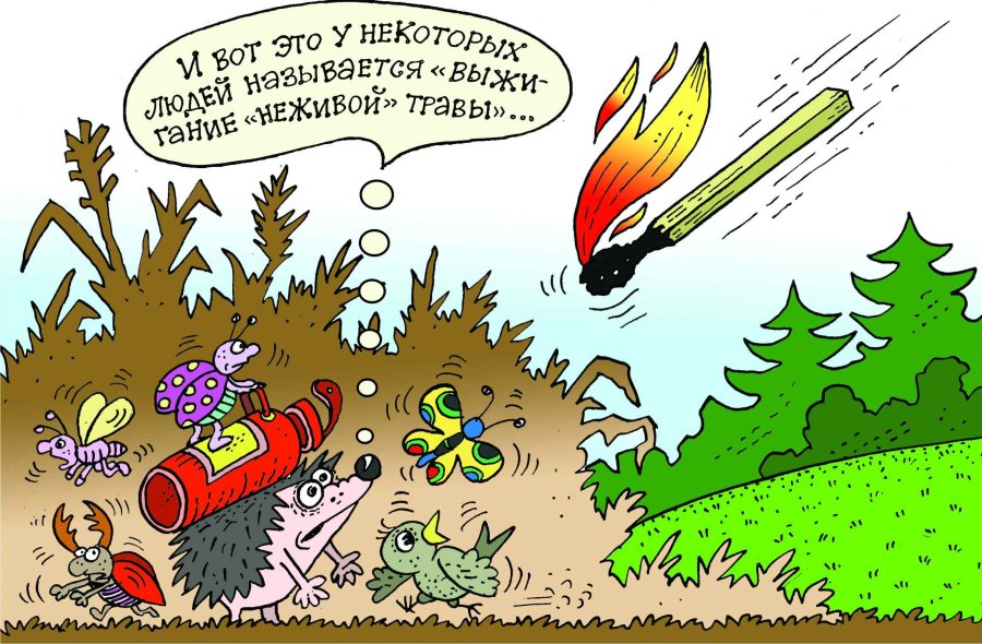 Не допускайте палов сухой растительности!